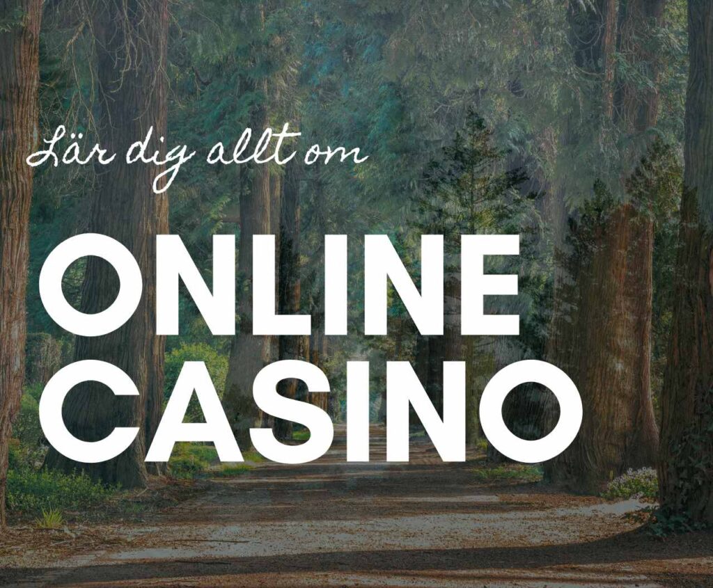 Lär dig allt om Online Casino